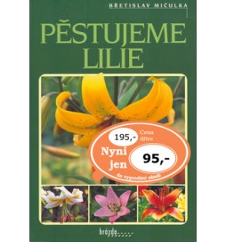 Pěstujeme lilie
