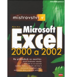 Mistrovství v Microsoft Excel 2000 a 2002 + CD