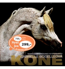 Koně