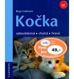 Kočka