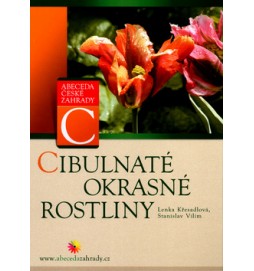 Cibulnaté okrasné rostliny