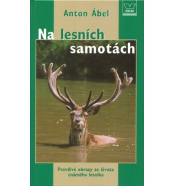 Na lesních samotách