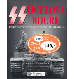 SS Ocelová bouře