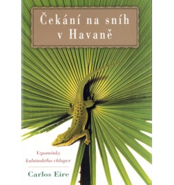 Čekání na sníh v Havaně