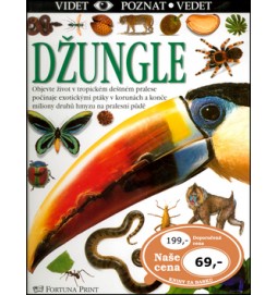 Džungle