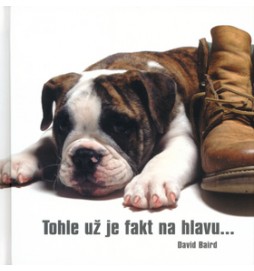 Tohle už je fakt na hlavu