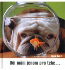Oči mám jenom pro tebe