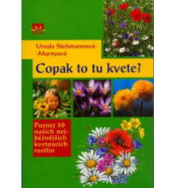 Copak to tu kvete?
