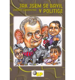 Jak jsem se bavil v politice