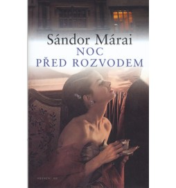 Noc před rozvodem