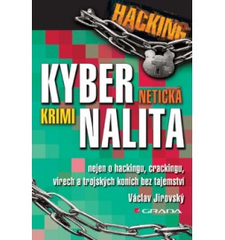 Kybernetická kriminalita
