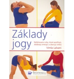 Základy jogy