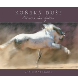 Koňská duše