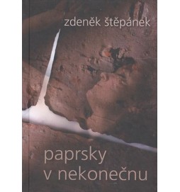Paprsky v nekonečnu