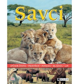 Savci