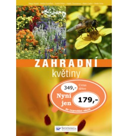 Zahradní květiny