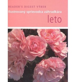 Leto