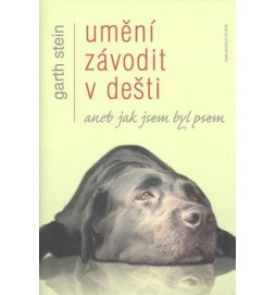 Umění závodit v dešti