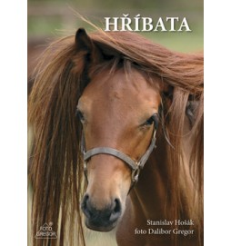 Hříbata