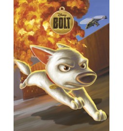 Bolt