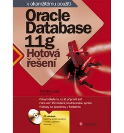 Oracle Database 11g