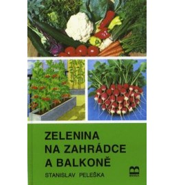 Zelenina na zahrádce a balkóně