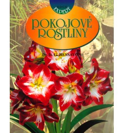 Pokojové rostliny