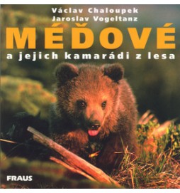 Méďové a jejich kamarádi z lesa