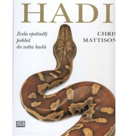 Hadi