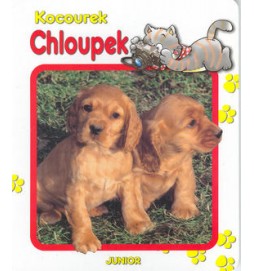 Kocourek Chloupek