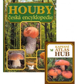 Houby česká encyklopedie bez atlasu