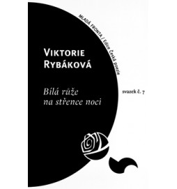 Bílá růže na střence noci