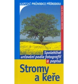 Stromy a keře