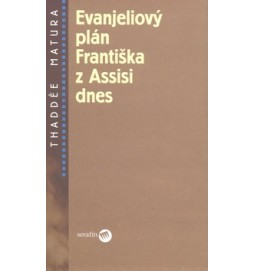 Evanjeliový plán Františka z Assisi dnes