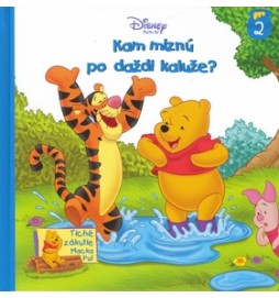 Kam miznú po daždi kaluže