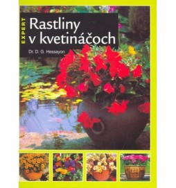 Rastliny v kvetináčoch