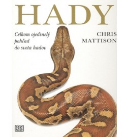 Hady