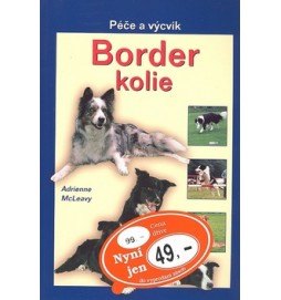 Border kolie