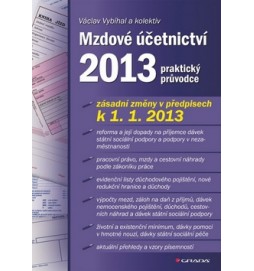 Mzdové účetnictví 2013