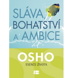 Sláva, bohatství a ambice