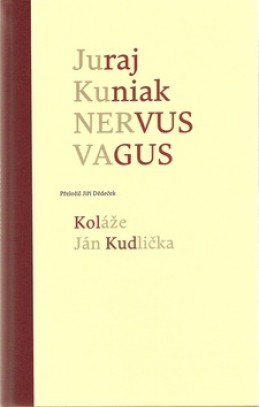 Nervus vagus - Juraj Kuniak; Ján Kudlička