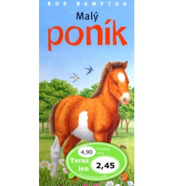 Malý poník