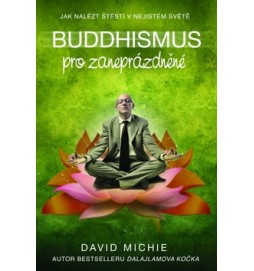 Buddhismus pro zaneprázdněné