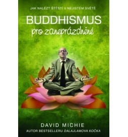 Buddhismus pro zaneprázdněné