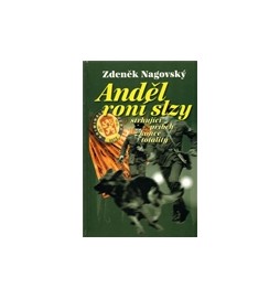 Anděl roní slzy