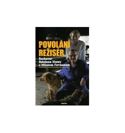 Povolání režisér
