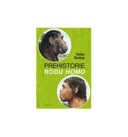 Prehistorie rodu Homo