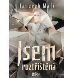 Jsem roztříštěná