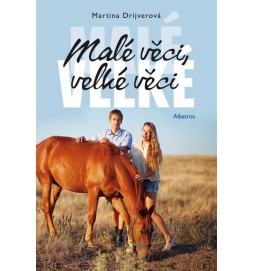 Malé věci, velké věci
