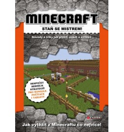 Minecraft - staň se mistrem!